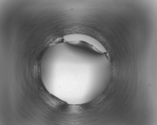 X0000078870333200612111720