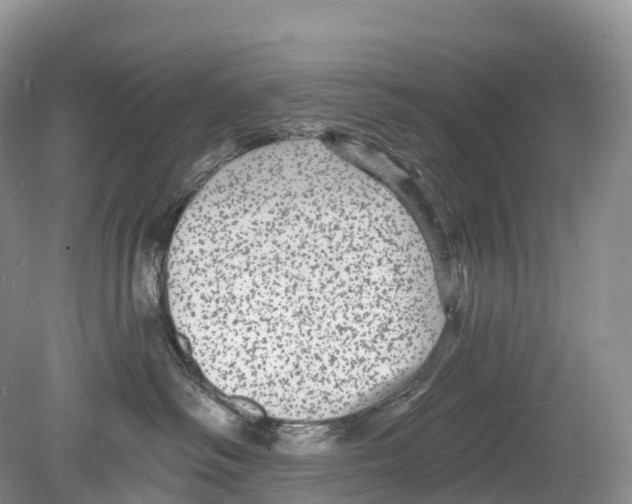 X0000078870334200612111720