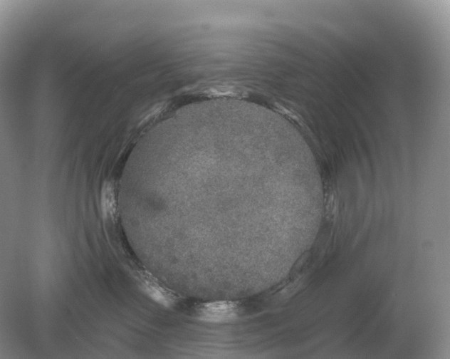 X0000078870335200612111720