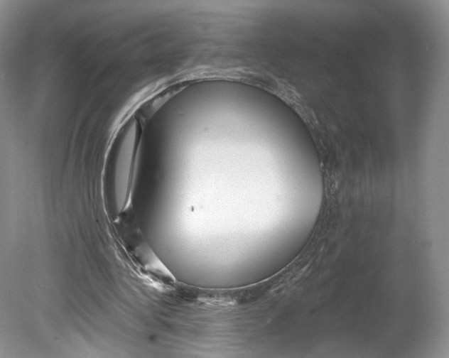 X0000078870340200612111719