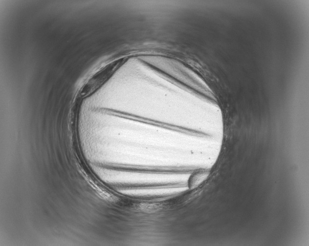 X0000078870341200612111719