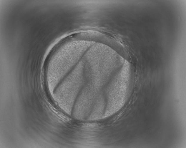 X0000078870342200612111719