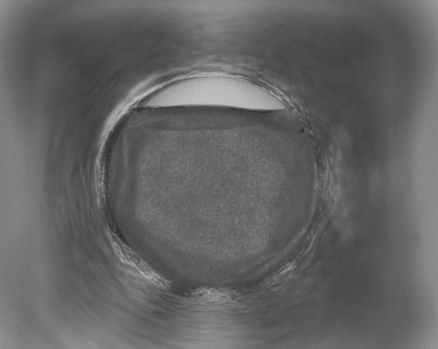 X0000078870343200612111719