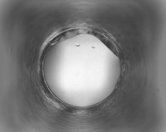 X0000078870344200612111719