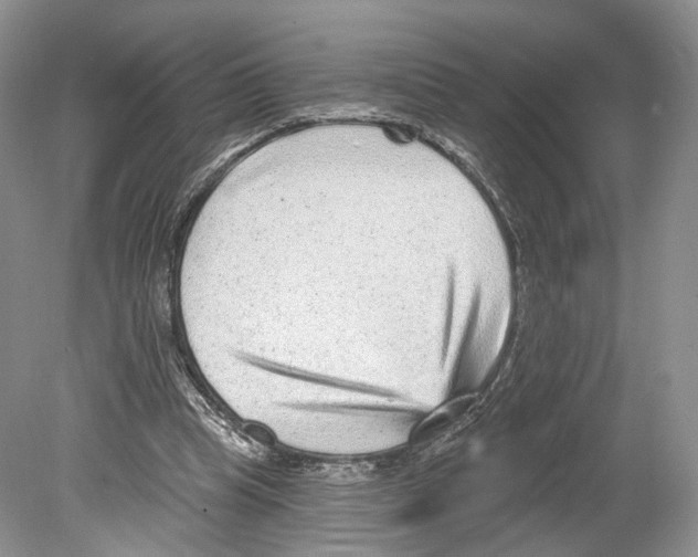 X0000078870345200612111719