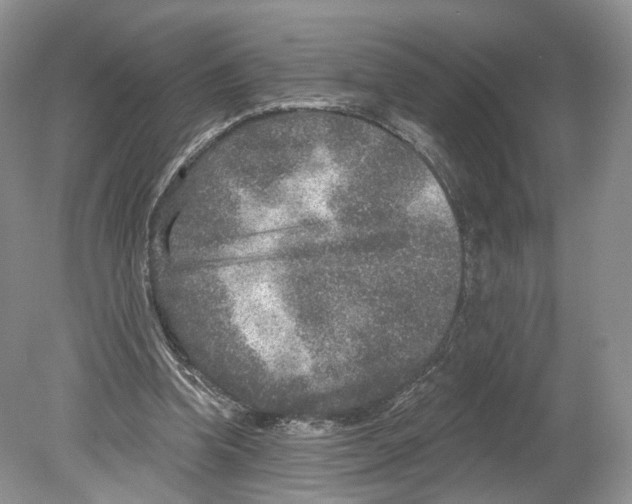 X0000078870346200612111719