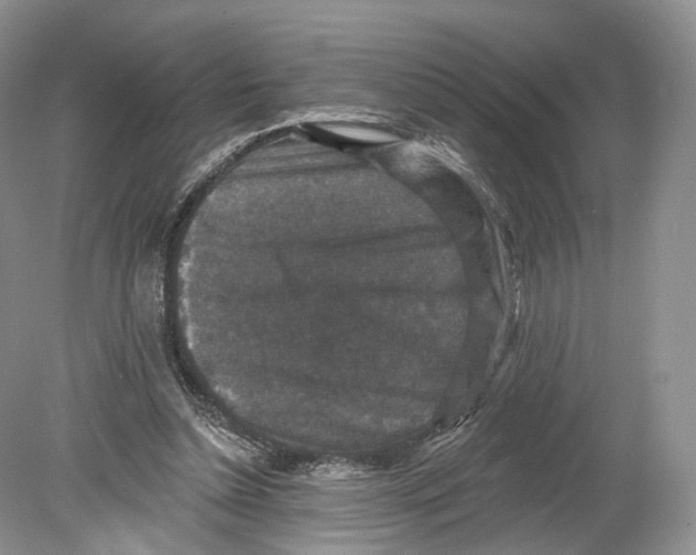 X0000078870348200612111719