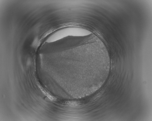 X0000078870349200612111719