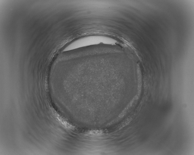 X0000078870353200612111719