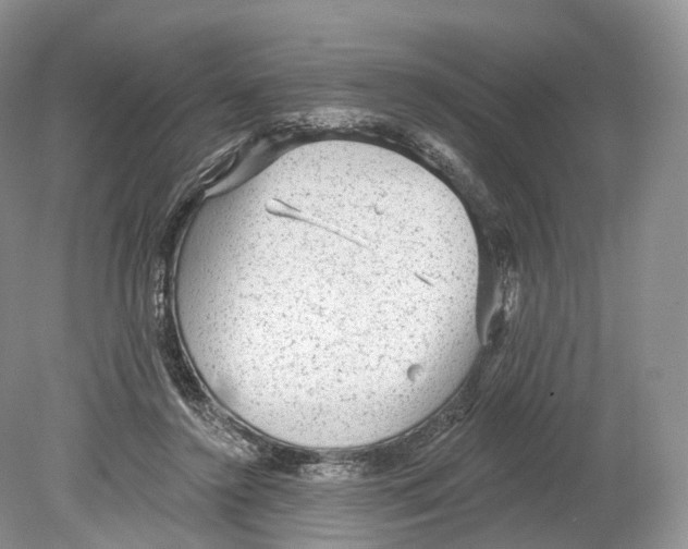 X0000078870356200612111719