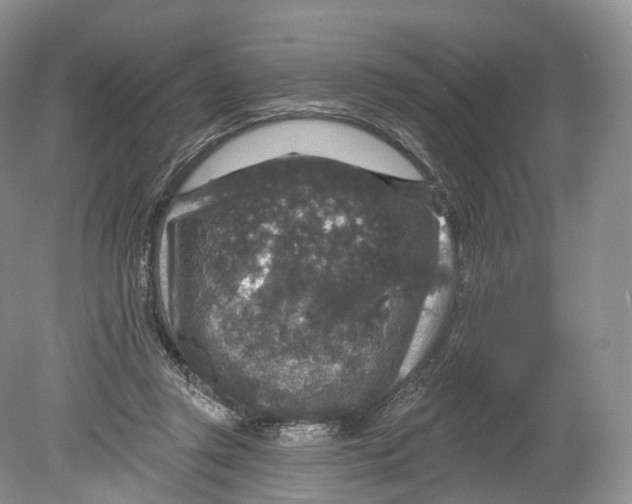 X0000078870357200612111719