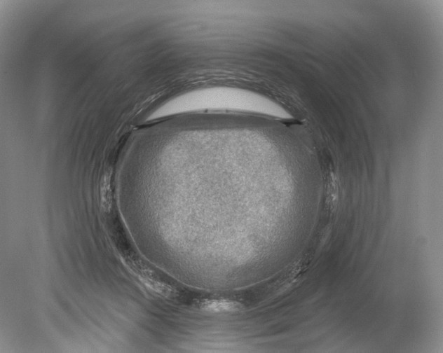 X0000078870360200612111719