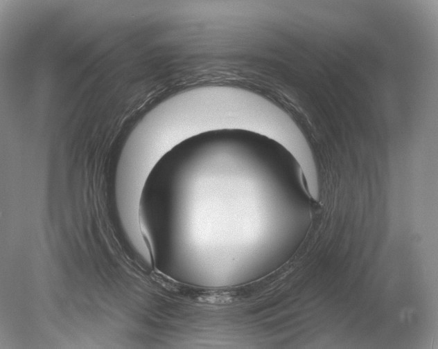 X0000078870362200612111719