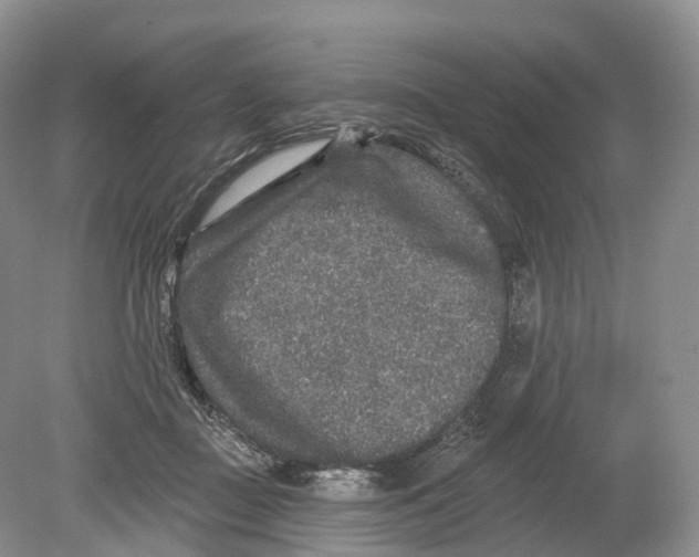 X0000078870363200612111719