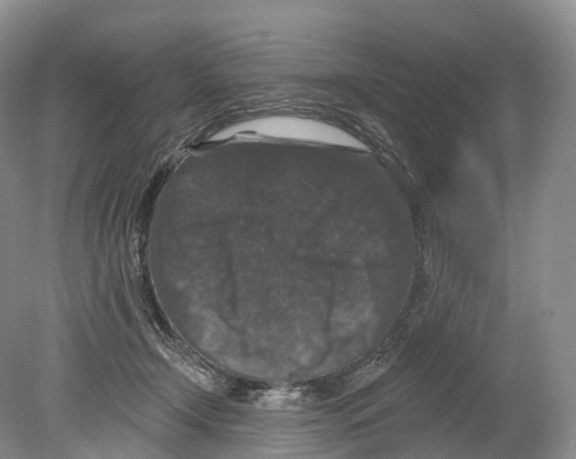 X0000078870366200612111720