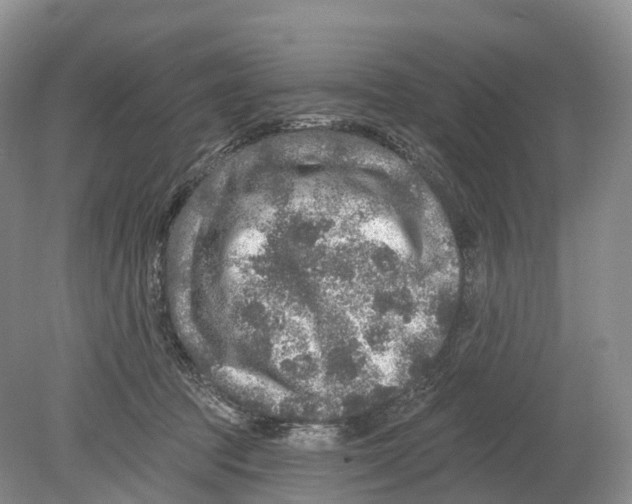 X0000078870369200612111720