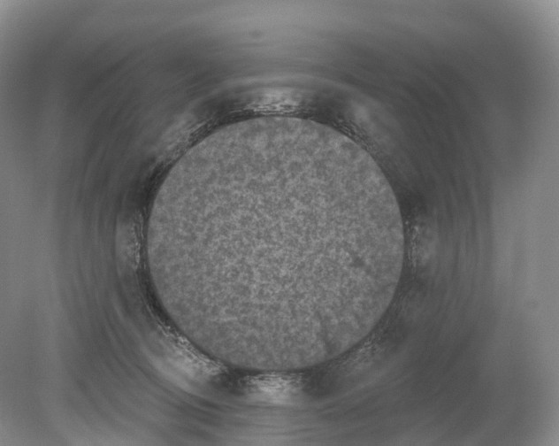 X0000078870370200612111720