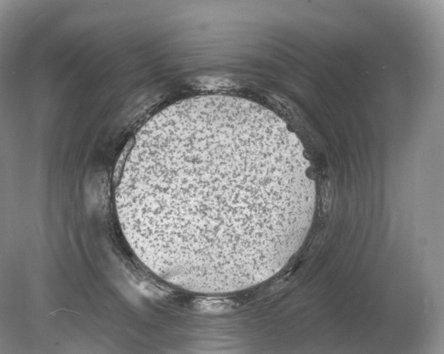 X0000078870372200612111720