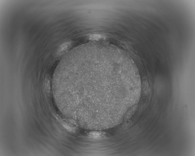 X0000078870375200612111720