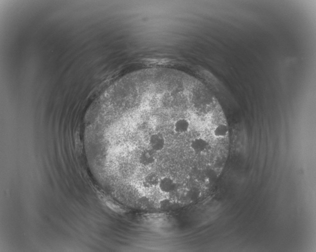 X0000078870377200612111720