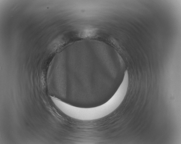 X0000078870380200612111720