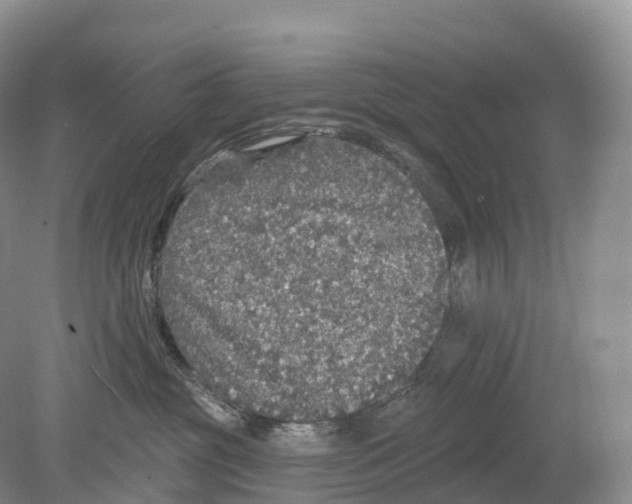 X0000078870381200612111720