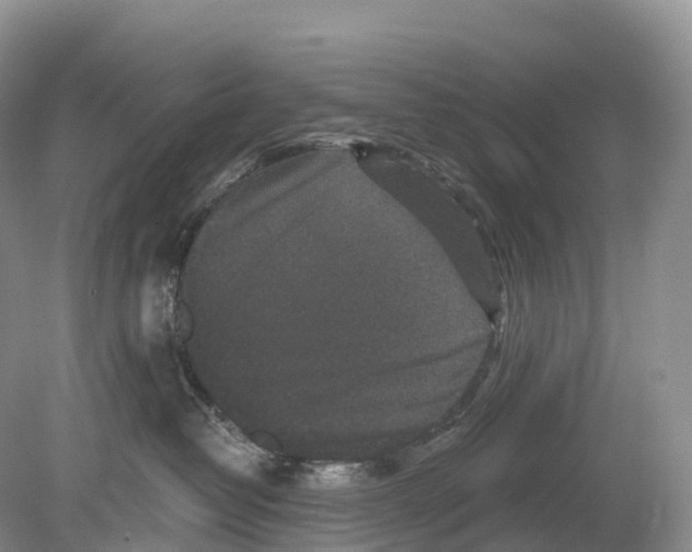 X0000078870382200612111720