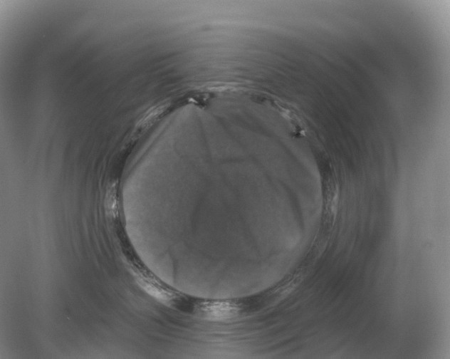 X0000078870383200612111720