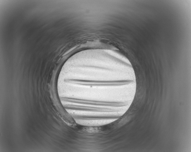 X0000078870384200612111720