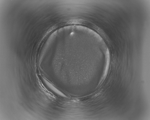 X0000078870386200612111719