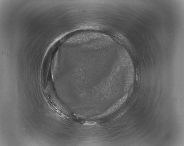 X0000078870388200612111719