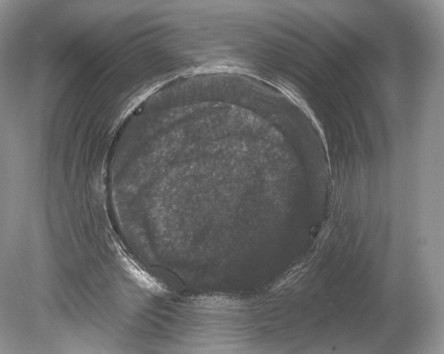 X0000078870389200612111719