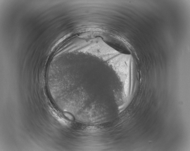 X0000078870390200612111719