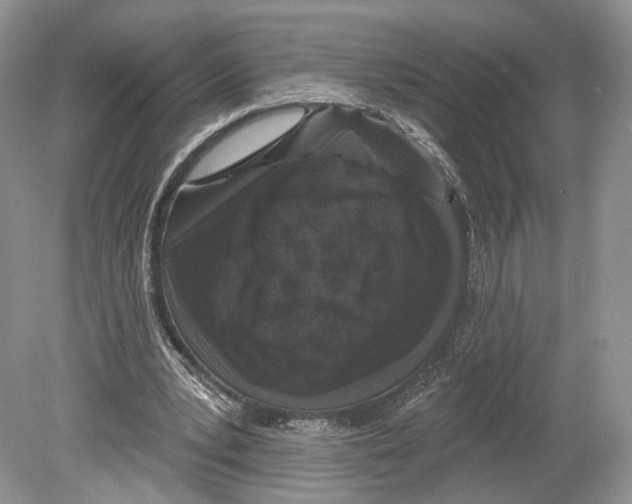 X0000078870391200612111719