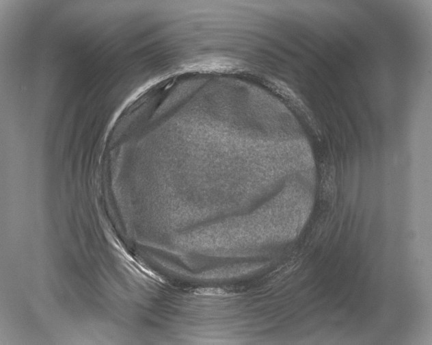 X0000078870392200612111719