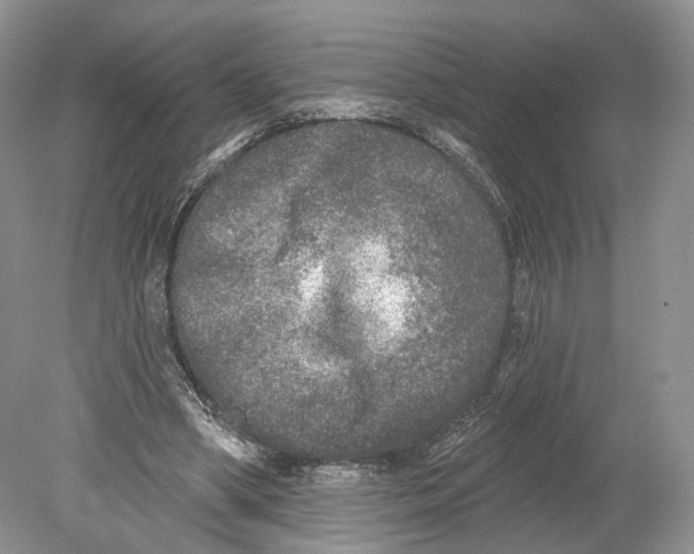 X0000078870394200612111719