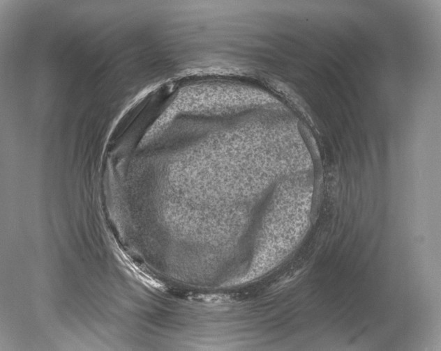 X0000078870395200612111719