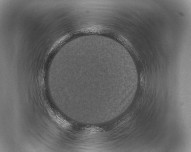 X0000078870396200612111719