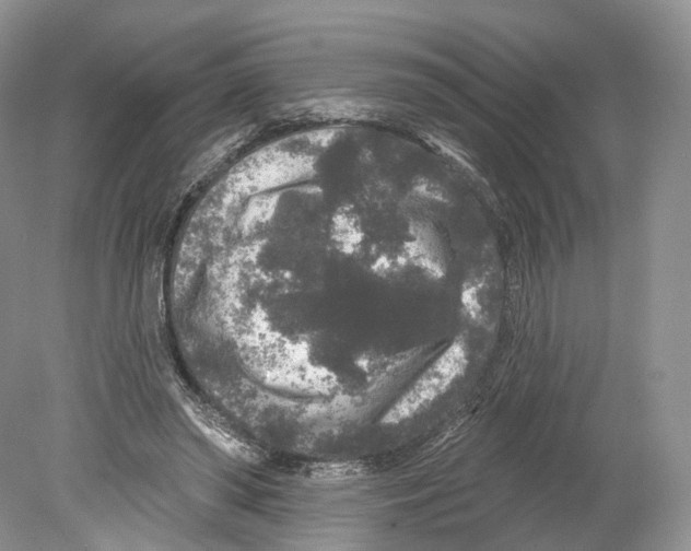 X0000078870398200612111719