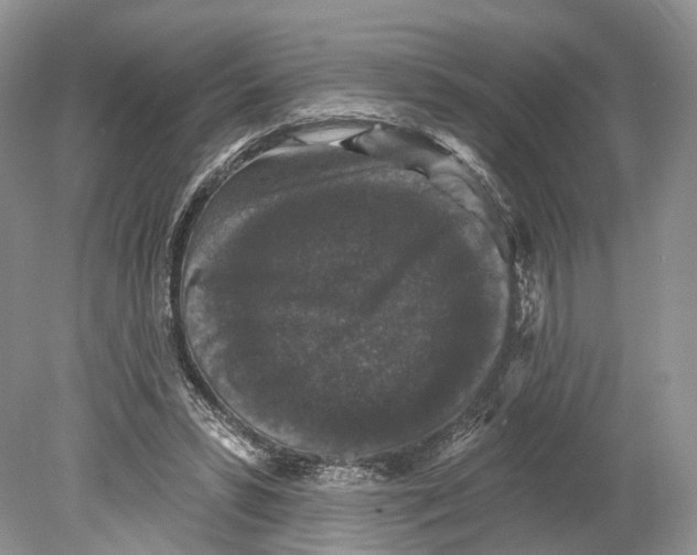 X0000078870399200612111719