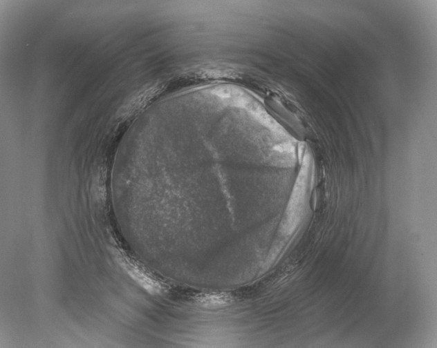 X0000078870402200612111719