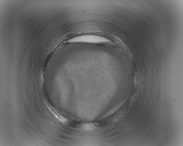 X0000078870405200612111719