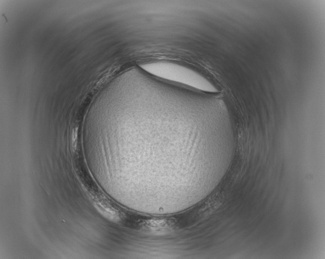 X0000078870406200612111719