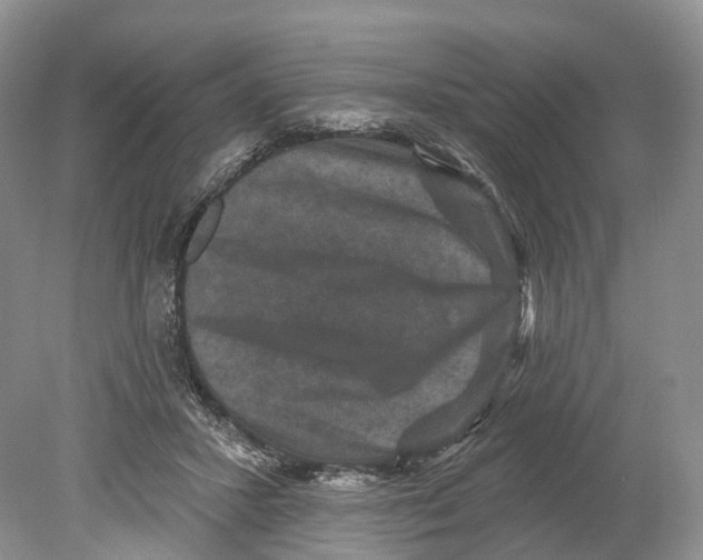 X0000078870407200612111719