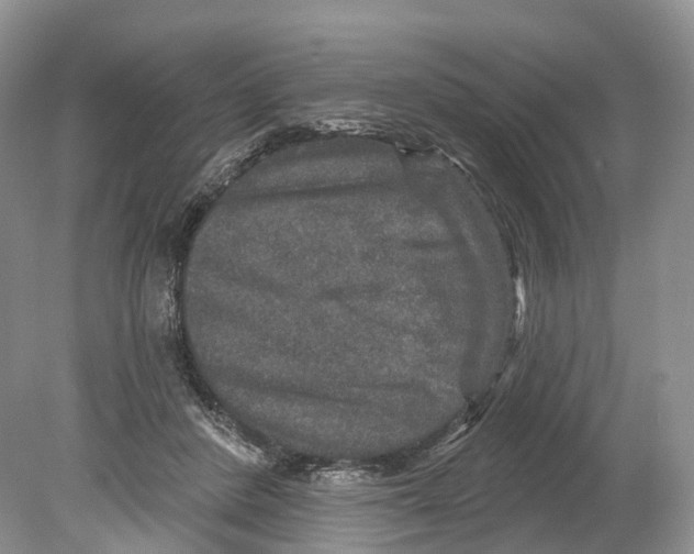 X0000078870408200612111719