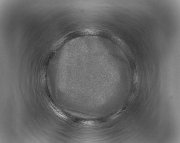 X0000078870409200612111719