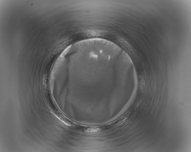 X0000078870410200612111719