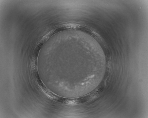 X0000078870411200612111719