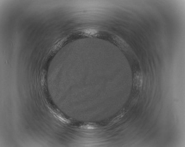 X0000078870412200612111719