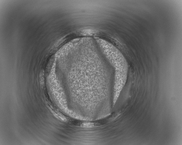 X0000078870413200612111719